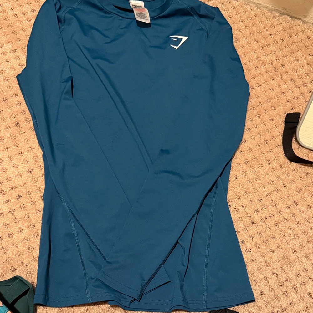 EVERYDAY SEAMLESS LONG SLEEVE TOP